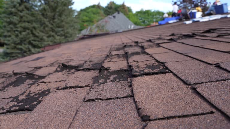 Best Wood Shake Roofing  in La Verne, CA
